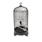 ΚΛΟΥΒΙ ΠΤΗΝΩΝ ΔΙΑΦΟΡΑ ΧΡΩΜΑΤΑ 75Χ33CM